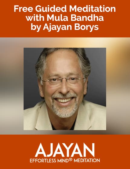 AjayanBonusGraphic