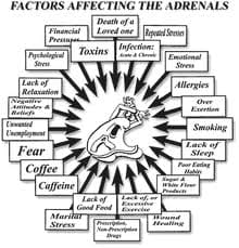 adrenal_factors