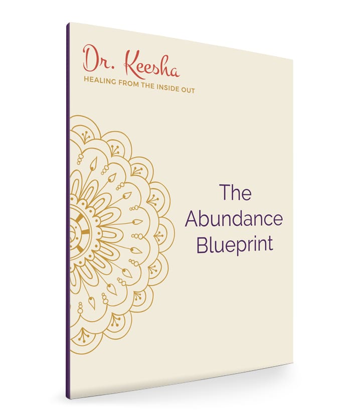 The Abundance Blueprint The Abundance Blueprint