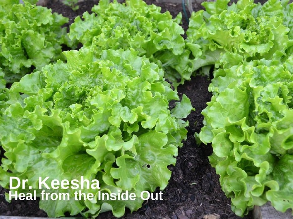 Dr. Keesha’s Paleo Kale Salad
