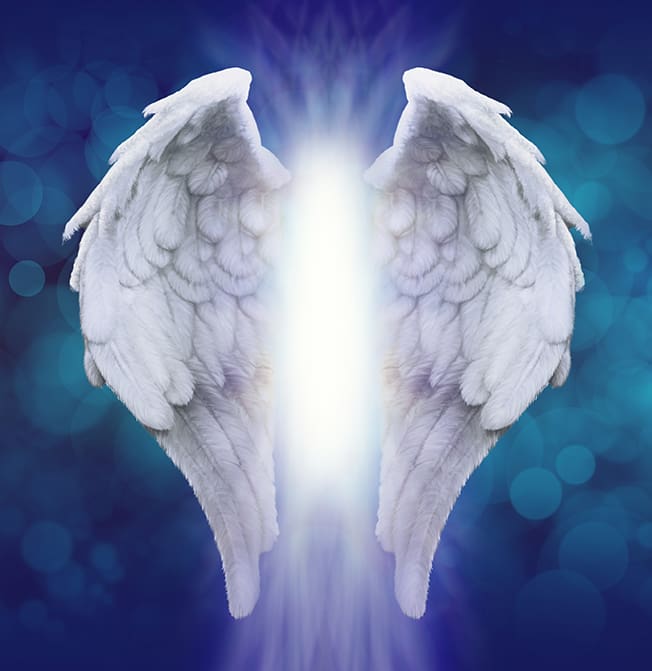 Angel wings of your spirit guide