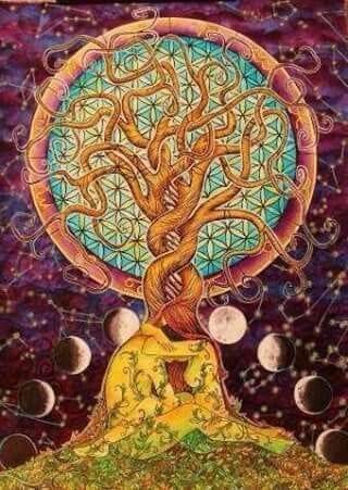 Tree of Life - When it all falls apart...