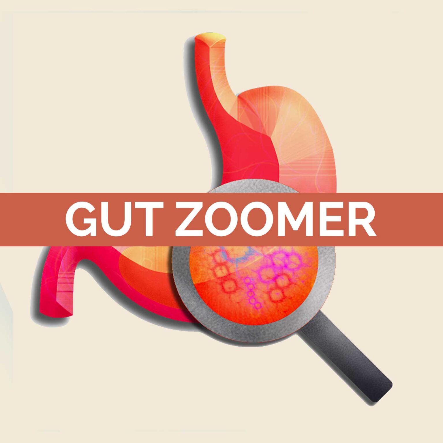 Gut Zoomer Dr. Keesha Gut Zoomer Dr. Keesha