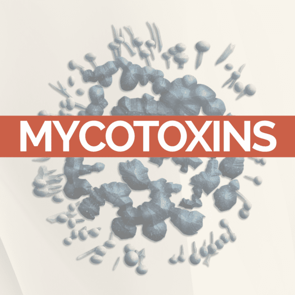 Mycotoxins-600x600