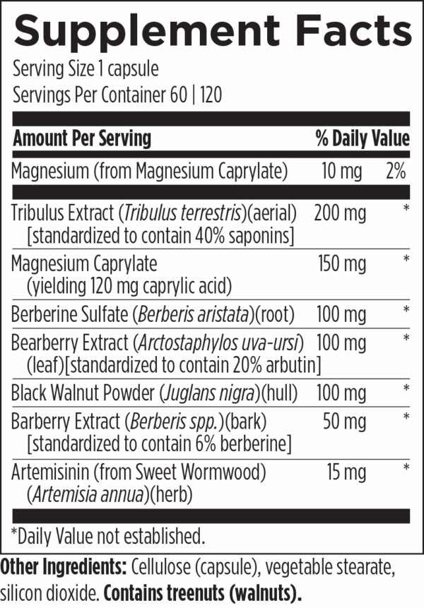 Yeast/SIBO Supplement Bundle - Image 4