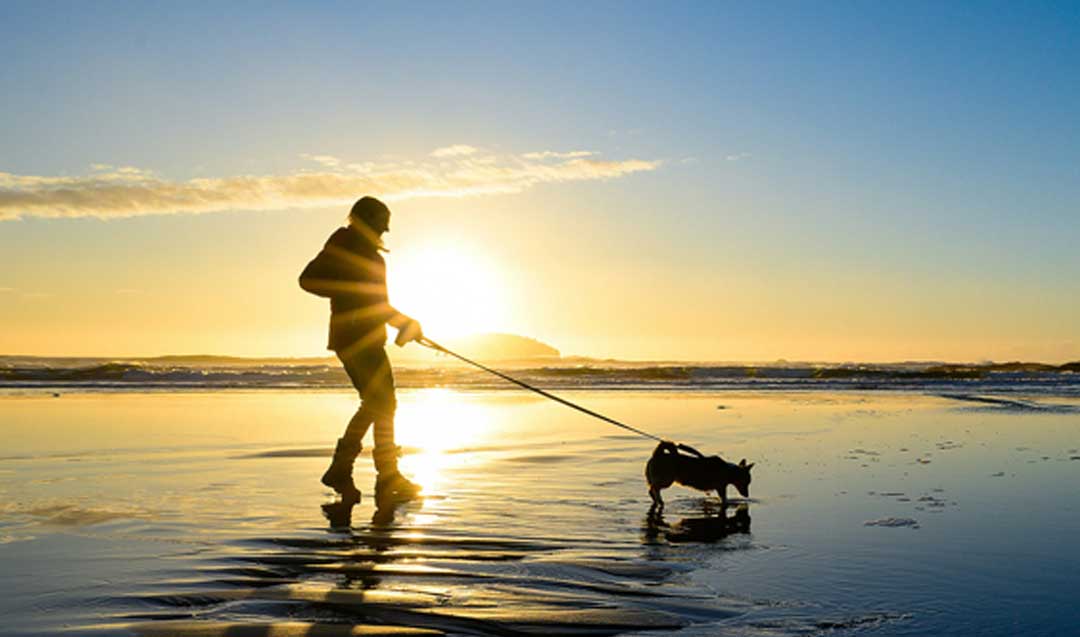 How Does Outdoor Movement Affect Brain and Metabolic Health?